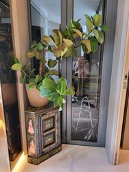 Skyline 360 @ Saint Thomas Walk (D9), Condominium #525724701
